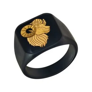 انگشتر مردانه فروردین - گالری دانژه انگشتر مردانه فروردین - گالری دانژه